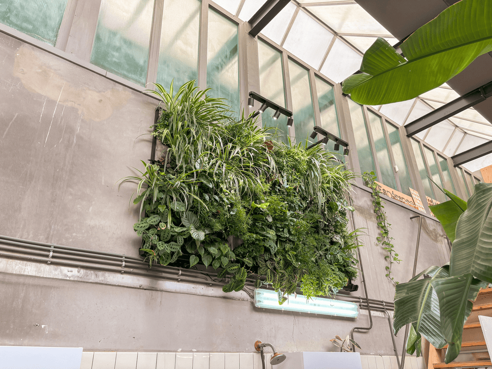 Verticale tuin aan een betonnen muur onder een glazen dak in Haarlem