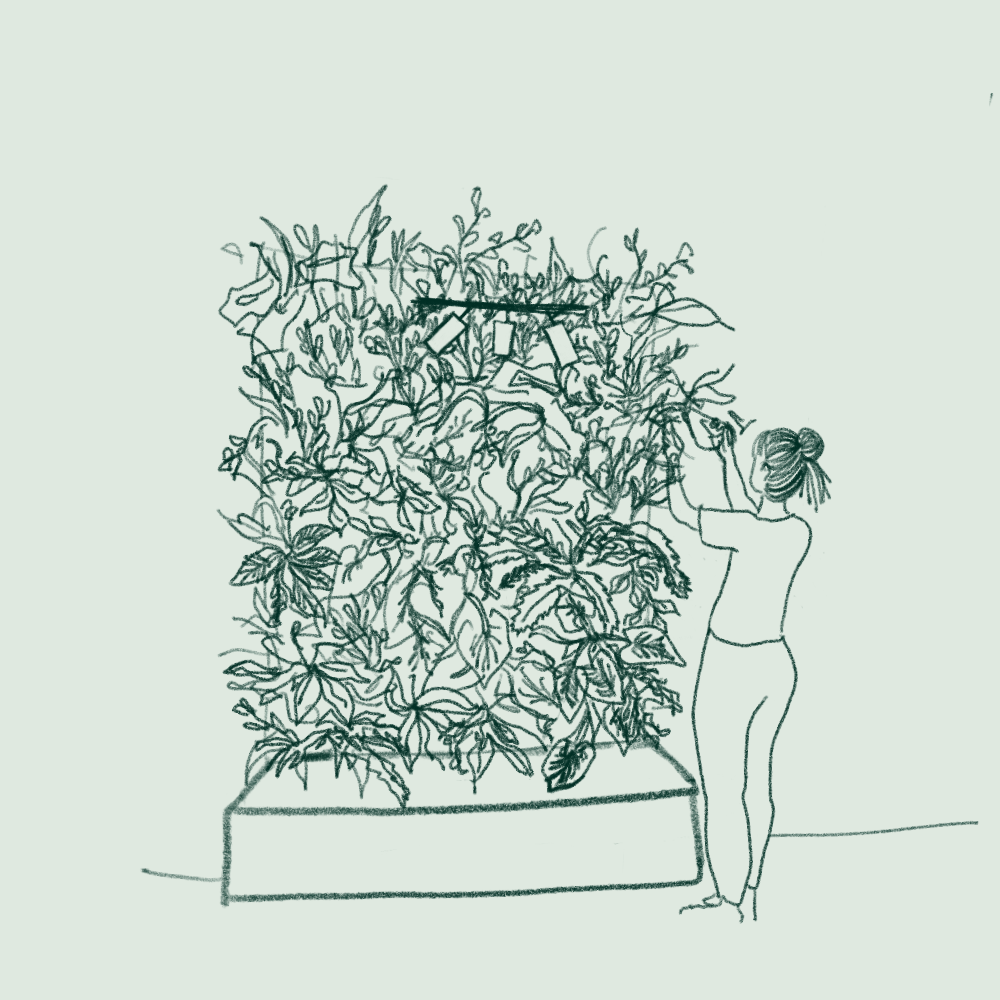 Tekening van een persoon die een verticale tuin verzorgt