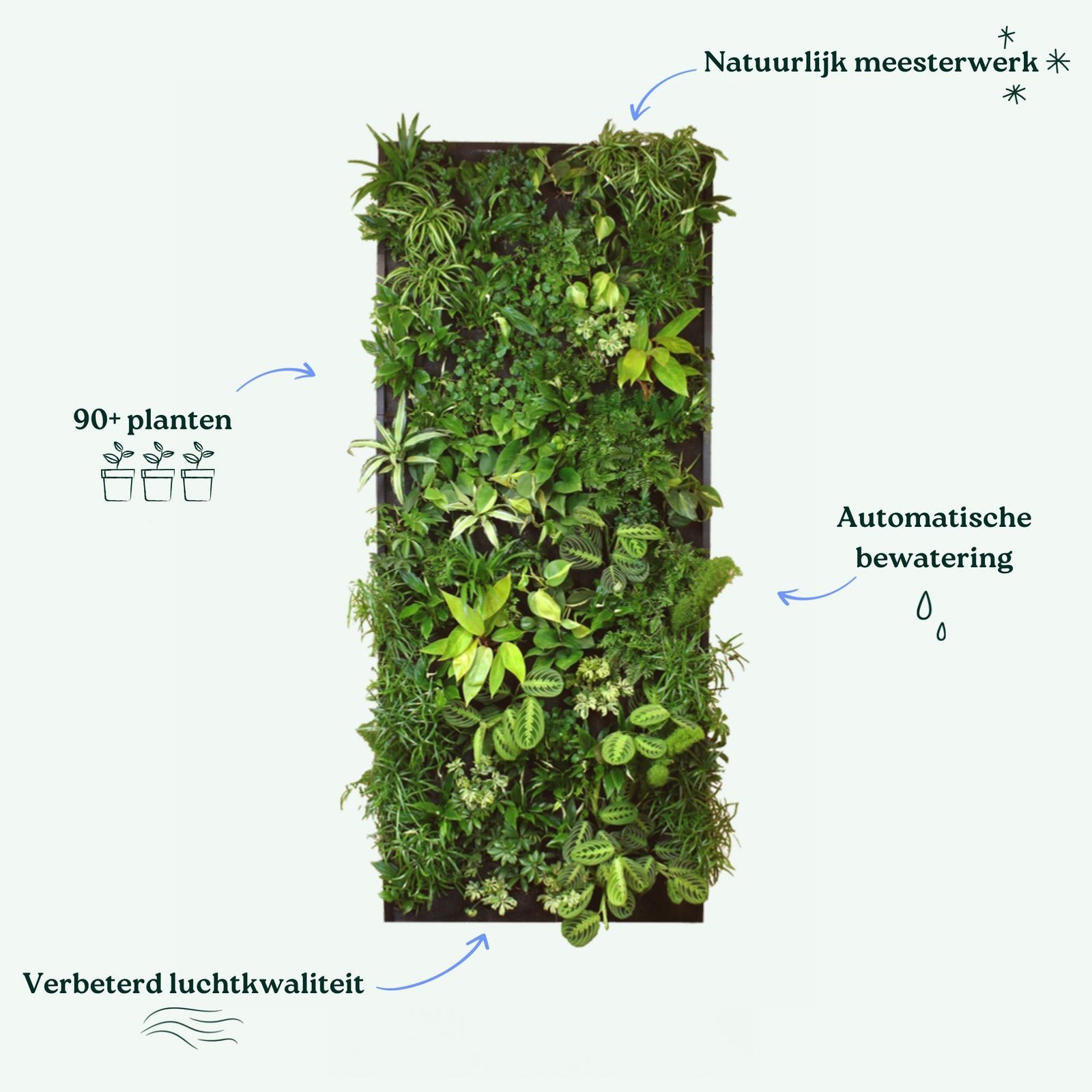 Schema van de Living Oasis met 90+ planten, automatische bewatering en betere luchtkwaliteit