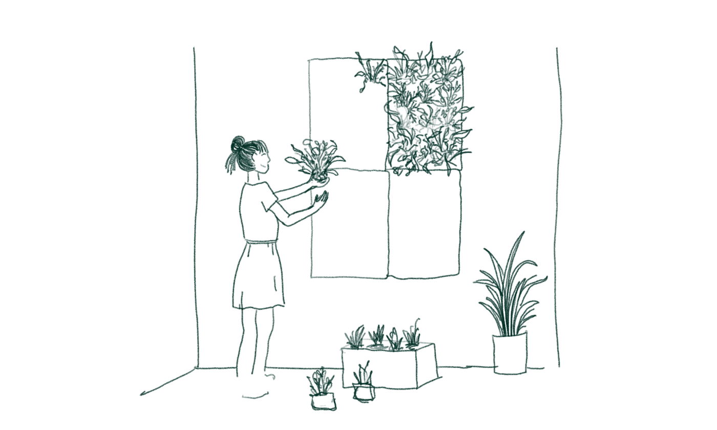 Illustratie van een vrouw die een paneel van de verticale tuin ophangt