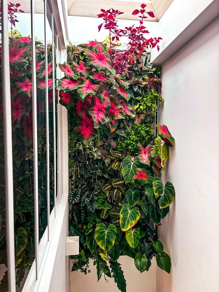 Verticale tuin met rode en groene planten voor een raam