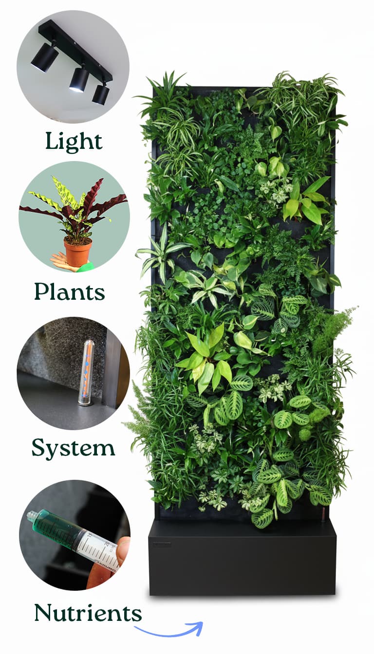 All-in-1 plant wall package with light, plants, system and nutrition